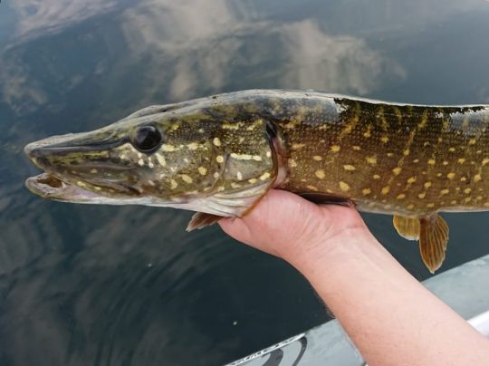 Groß Glienicker See