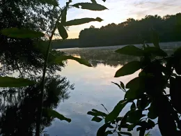 Groß Glienicker See-4