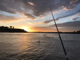 Rhein (Leverkusen-Hitdorf)-3