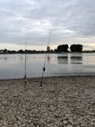 Rhein (Leverkusen-Hitdorf)-2