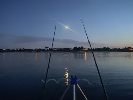 Rhein (Leverkusen-Hitdorf)-1