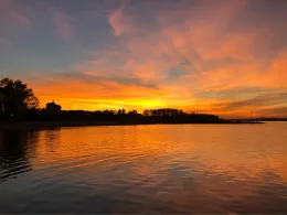 Rhein (Leverkusen-Hitdorf)-4