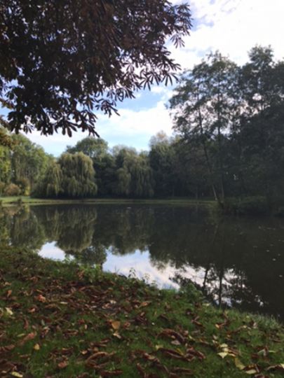 Müllendorfer Bruch-2