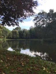 Müllendorfer Bruch-2