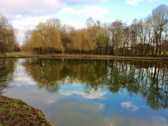 Müllendorfer Bruch-1