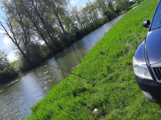 Donau (Winzer)-3