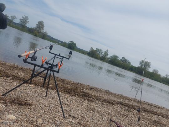 Donau (Winzer)-2