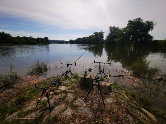 Donau (Winzer)-1
