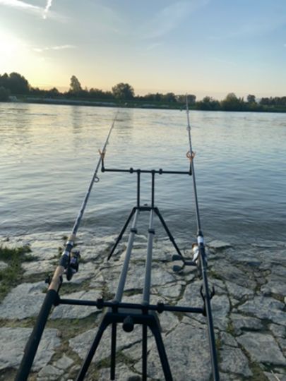 Donau (Winzer)-4