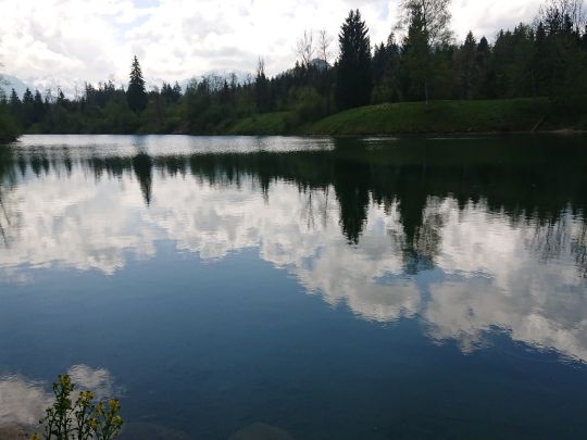 Auwaldsee (Fischen)-3