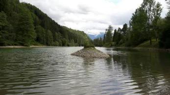 Auwaldsee (Fischen)-2