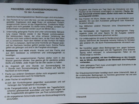 Auwaldsee (Fischen)-4