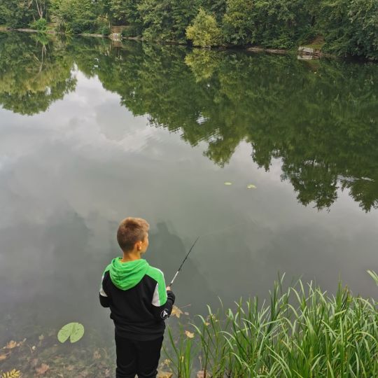 See Ehrentrup (Lage)