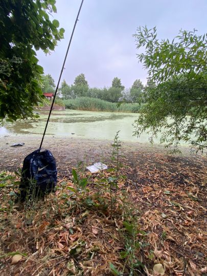 Großer Teich (Bitterfeld)-1