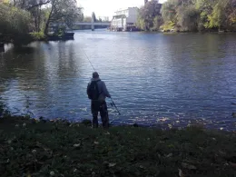 Havel (Brandenburg/Havel)-2