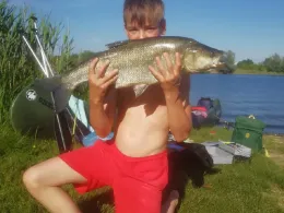 Havel (Brandenburg/Havel)-1