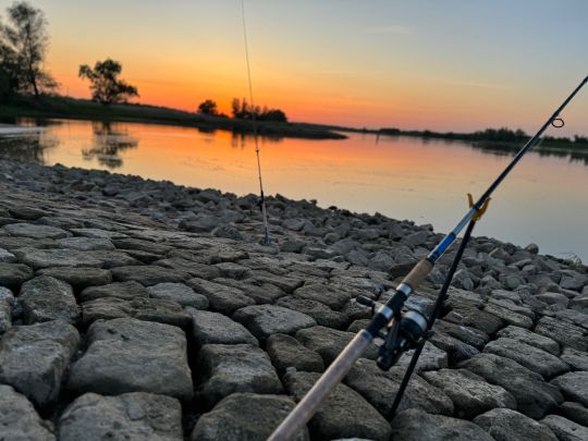 Elbe (Damnatz)-4
