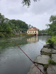 Neckar (Oferdingen)-2