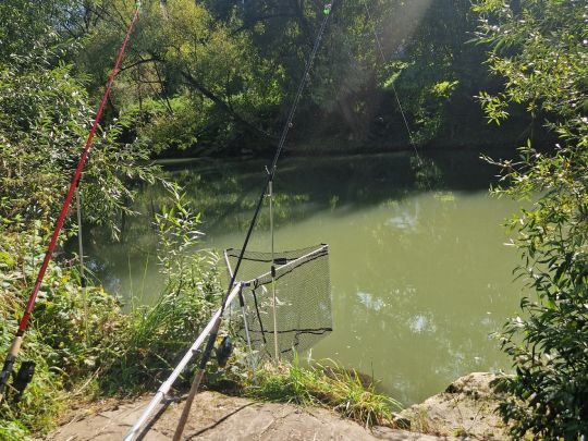 Neckar (Oferdingen)-3