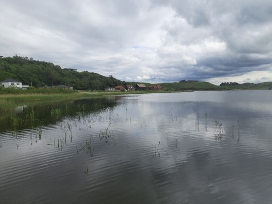 Lemvig Sø-1