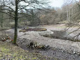 Teichanlage Kloster Kirchberg-1