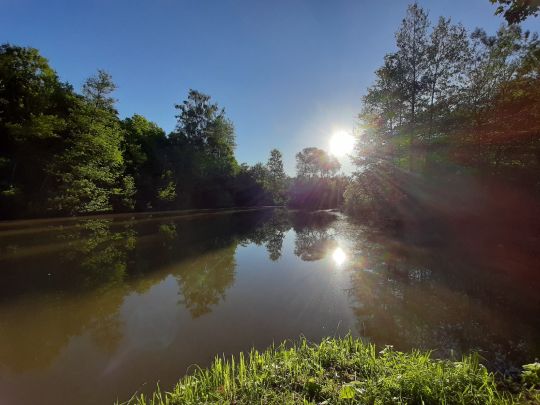 Teichanlage Kloster Kirchberg-2