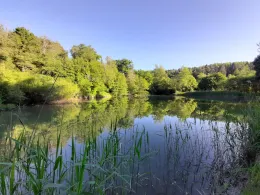 Teichanlage Kloster Kirchberg
