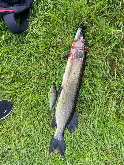 Lanzer See (Basedow)-2