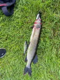 Lanzer See (Basedow)-2