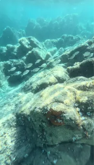 Mittelmeer (Sardinien)-3