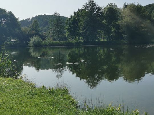 Bruchteiche (Bad Sooden-Allendorf)-3