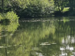 Bruchteiche (Bad Sooden-Allendorf)-1