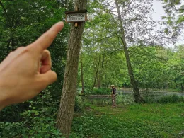 Lehmgrubenteich (Machern)