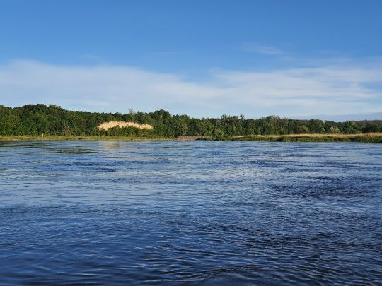 Oder (Brieskow-Finkenheerd)-4