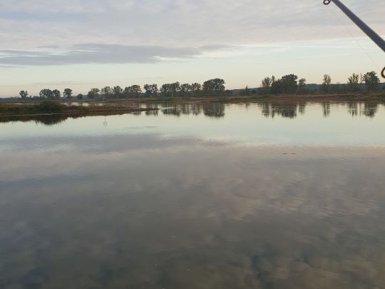 Oder (Brieskow-Finkenheerd)-1