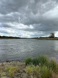 Oder (Brieskow-Finkenheerd)-2