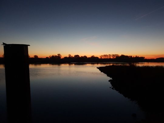 Oder (Brieskow-Finkenheerd)-3