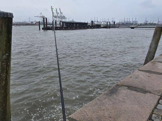 Norderelbe (Hamburg-St. Pauli)-3