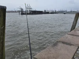 Norderelbe (Hamburg-St. Pauli)-3