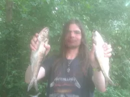 Norderelbe (Hamburg-St. Pauli)-2