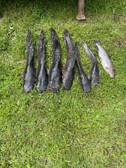 Angelteiche Julian Rödel (Krummasel)