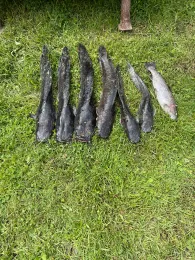 Angelteiche Julian Rödel (Krummasel)