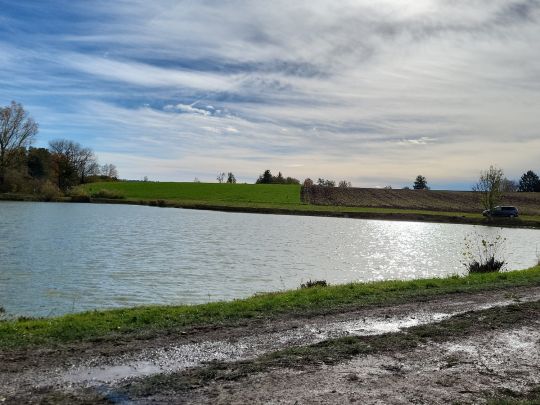 Tauberseen (Leitsweiler)