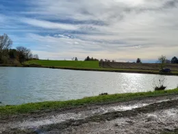 Tauberseen (Leitsweiler)