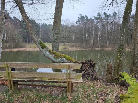 Triensee (Murchin)