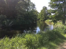 Mühlgraben (Forst)-1