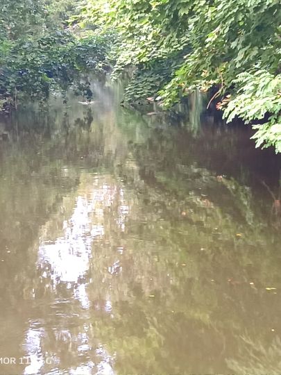 Mühlgraben (Forst)-4