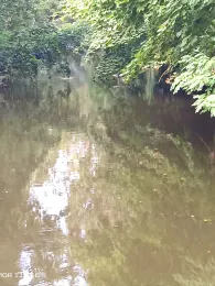 Mühlgraben (Forst)-4