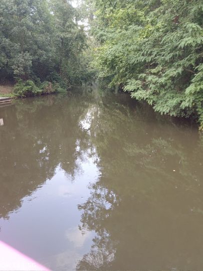 Mühlgraben (Forst)-3