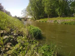 Mühlgraben (Forst)-2